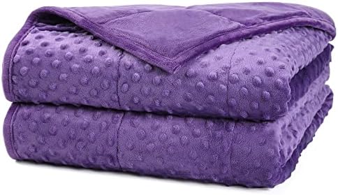 Alomidds Weighted Blanket (48"x72",15lbs Twin Size - Purple), Weighted Blankets for Adults, Cooling Breathable Soft and Comfort Minky, Heavy Blanket Microfiber Material with Glass Beads by Alomidds