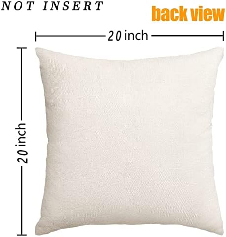RABUSOFA Spring Summer Pillows Decorative Throw Pillows 20x20,Large Outdoor Bird Pillow Covers,Single Watercolor Hand-Painted Oil Painting Rustic Birds Square Pillow Cases for Couch Sofa - Image 6
