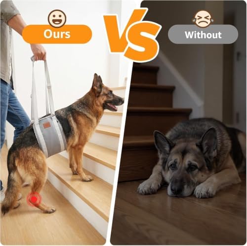 Adjustable Dog Sling for Extra Large Dogs Mobility Aid for Weak Rear Legs - Image 2