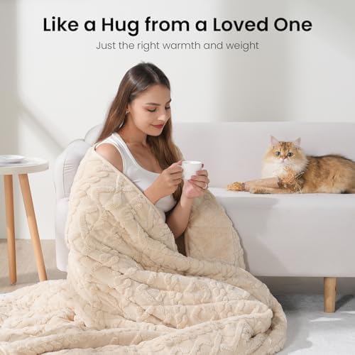 Drewin Weighted Blanket for Adults Full Size 10lbs,Beige,48 x 72 inches - Image 4