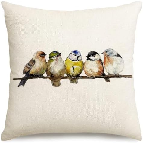 RABUSOFA Watercolor Birds Pillows Decorative Throw Pillows 18x18,Hand-Painted Oil Painting Rustic Birds Square Pillow Cases,Cute Colorful Spring Summer Decorations for Home Couch Sofa Outdoor by RABUSOFA