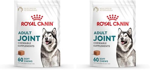 Royal Canin Joint Dog Supplement Soft Chews for Adult Dogs, 60 Count (Pack of 2) by Unknown