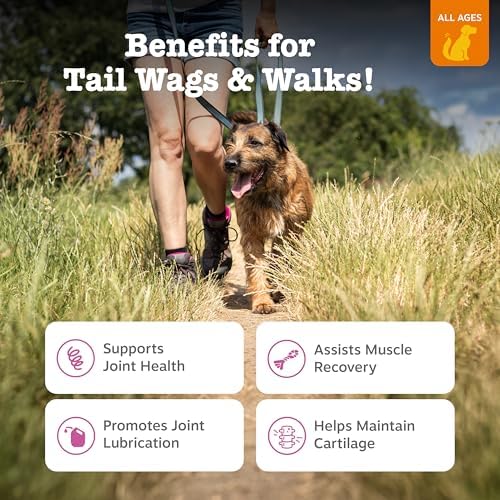 Zesty Paws Glucosamine for Dogs - Dog Joint Supplement, Bacon, 50 Ct - Image 2