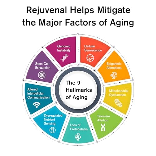 Rejuvenal - Supports Healthy Aging, Longevity, Cellular Energy, Brain, Skin - Image 2