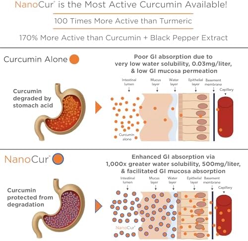 Nanocurcumin 170% More Active Than Curcumin+Black Pepper - Image 2