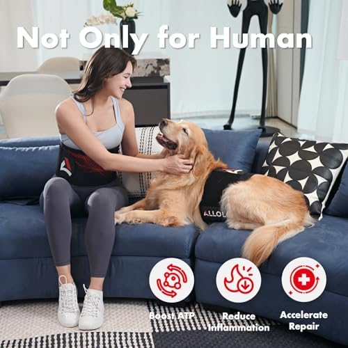 ALLOLO Red Light Therapy for Body, 3 in 1 LEDs Red Light Therapy Belt with Timer Remote Control, 660nm 850nm Infrared Light Therapy Pad for Body Waist Shoulder Knee, 39" x 7.7" Large Area - Image 3