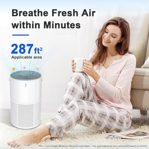 Air Purifiers for Home Large Room up to 1095 Ft², H13 True HEPA Filter Air Purifier for Bedroom with Quiet Sleep Mode & Timer, Air Cleaner for Pets Hair, Smoke, Odor, Dust - Image 3