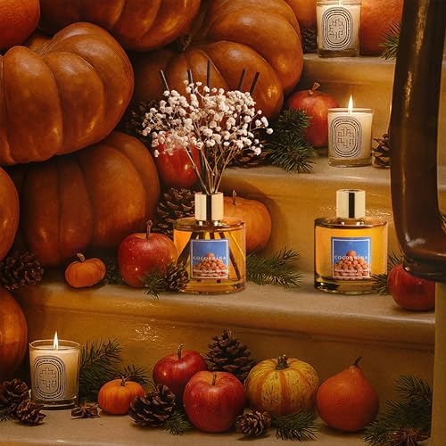 COCORRÍNA Reed Diffuser - Morton Pumpkin Harvest Reed Diffuser Set with 8 Sticks & Preserved Baby's Breath, Reed Diffuser for Home Bathroom Shelf Decor - Image 5