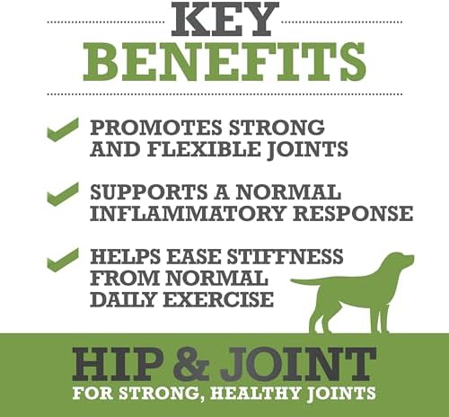 WINPRO Hip & Joint Supplement for Dogs - Plasma Powered Soft Chews for Joint Health & Mobility – Fast-Acting with Collagen & Natural Ingredients for Dogs of All Breeds – 60 Chews - Image 2