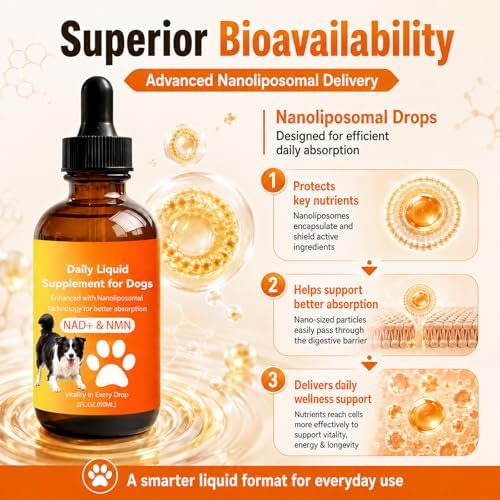 Dog Longevity Supplement with NMN, NAD+, CoQ10 & Resveratrol - Image 5