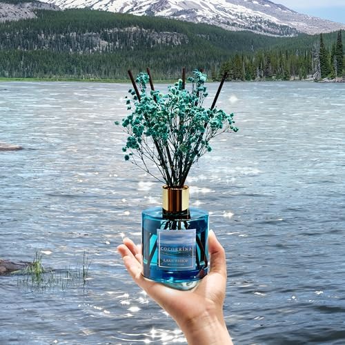 COCORRÍNA Reed Diffuser - Lake Tahoe 6.7 Fl.oz Reed Diffuser Set with 8 Sticks & Preserved Baby's Breath, Reed Diffuser for Home Bathroom Shelf Decor - Image 4