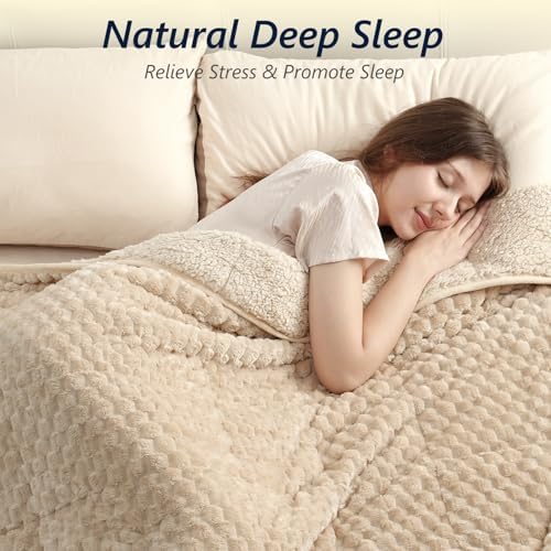 Mr. Sandman Weighted Blankets for Adults, Full Size 48 x 72 Inches, 12lbs - Image 3
