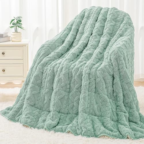 Wemore Weighted Blanket for Adults Queen Size 20 lbs 60" x 80" Sage Green by WemoreDirect