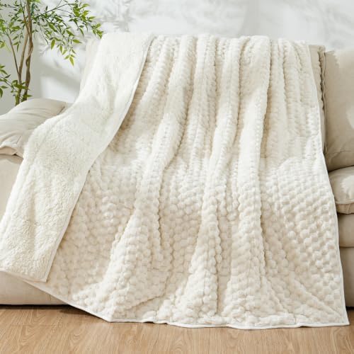 Cottonblue Fleece Weighted Blanket for Adult Queen Size 20 lbs 60"x80" Soft by Cottonblue