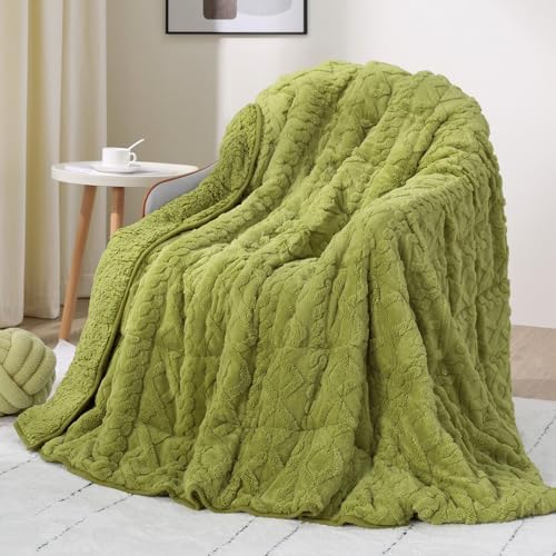 Drewin Weighted Blanket Queen Size 15lbs for Adults,Grass Green,60" x 80" by Home