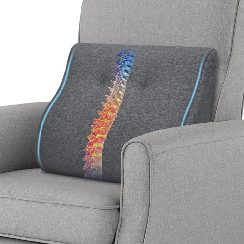 baibu Patented Dual-Layer Memory Foam Lumbar Pillow for Recliner, Dark Grey by baibu