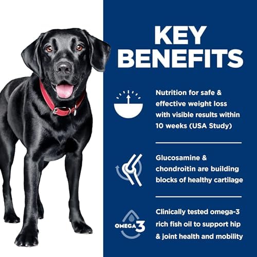 Hill's Science Diet Perfect Weight & Joint Support Large Breed Dry Dog Food - Image 5