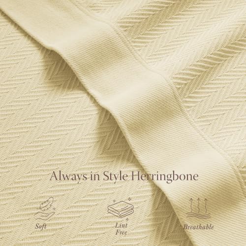 Threadmill Vanilla Cream 100% Combed Cotton King Size Blanket, All-Season Soft Breathable Light Weight Herringbone Throw - Image 4