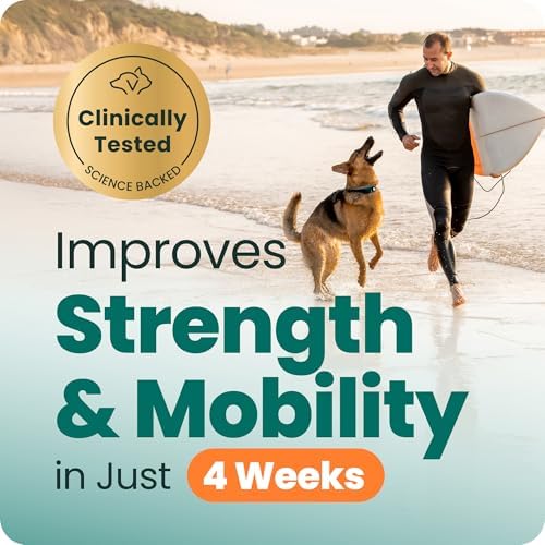 VetriScience Extra Strength Healthy Hip & Joint for Dogs, Chicken, 120ct - Image 2