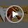 FoldTier 6 Pack Mini Bamboo Hair Brush Bulk Wooden Travel Small Hairbrush - Image 7