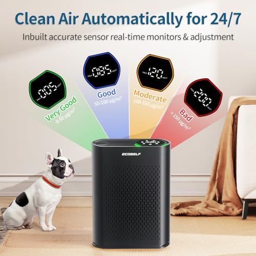 Air Purifier for Large Room, Cleans 2,400 ft² in 30 Mins, 3-Stage True HEPA, 360° Airflow, Large Touch Display Control, Real-Time Air Quality (PM2.5) Display, Ultra-Quiet 20dB Sleep Mode, HAP602 Black - Image 2