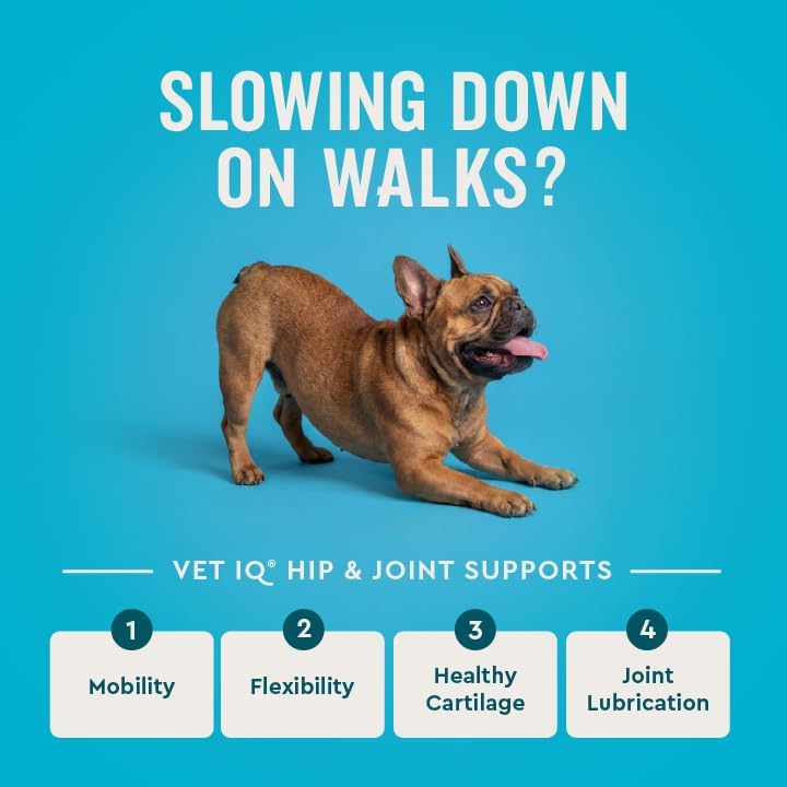 VetIQ Advanced Hip & Joint Chews, 60 Ct Chicken Flavor, Glucosamine for Dogs, Hip and Joint Supplement with Omega 3, Chondroitin, MSM, Green Lipped Mussel, Increases Mobility, Maintains Muscles - Image 2