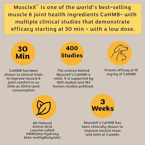MuscleX™ Canine Muscle Formula Dogs with CaHMB 500 mg and Vitamin D3 - Natural Muscl Building Formula - Helps Reduce Muscle Loss Due to Normal Aging and Improves Recovery from Injury (180 Capsules) - Image 3