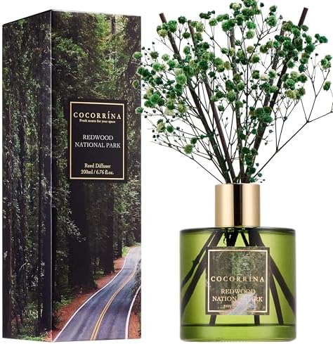 COCORRÍNA Reed Diffuser - Redwood National Park 6.7 Fl.oz Reed Diffuser Set with 8 Sticks & Preserved Baby's Breath, Reed Diffuser for Home Bathroom Shelf Decor by COCORR%C3%8DNA