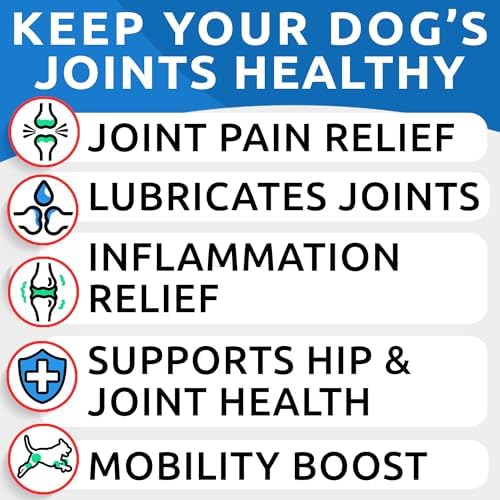 Advanced Joint Hemp Chews for Dogs Mobility - Hip&Joint Pain Relief Treats - Image 3