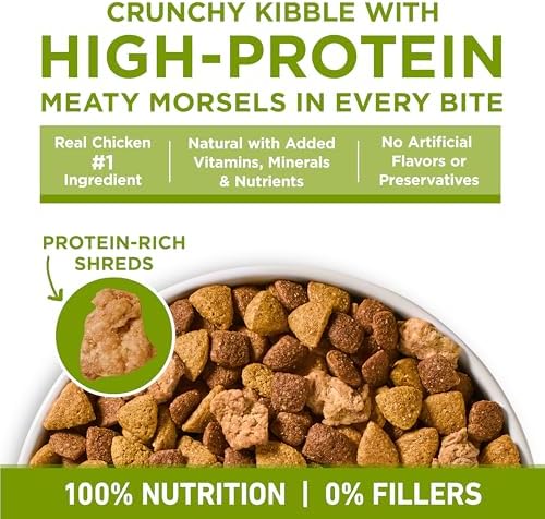 Purina ONE Plus Whole Body Support with Chicken Dry Dog Food, 16.5 lb Bag - Image 6