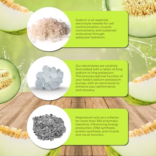 Santa Cruz Paleo Electrolyte Powder, Honeydew Melon Flavor, Sugar Free Hydration Drink Mix with Himalayan Pink Salt, Sea Salt, Magnesium Glycinate, Potassium Chloride, Sweetened with Stevia, 30 Srvgs - Image 4