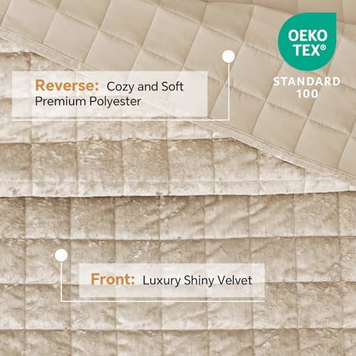 BEDELITE Velvet Quilt Set Queen Size, Luxury Velvet Comforter Bedding - Image 2