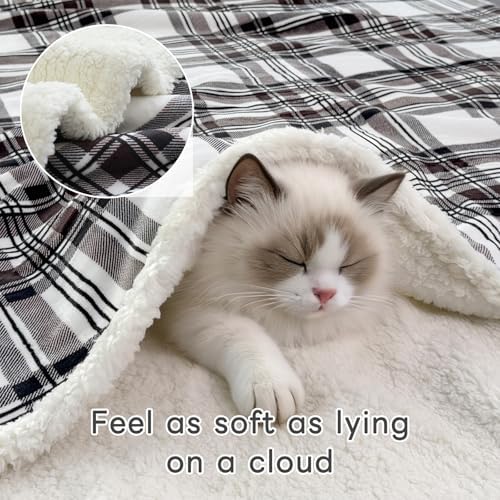 Gracelife Sherpa Fleece Throw Blanket for Couch, Fluffy Plush Warm Fuzzy Blanket for Women and Men, Cozy Thick Soft Twin Blanket for Bed(Gray-2, 60"*80") - Image 3