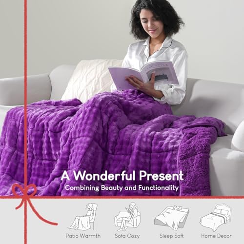 Cottonblue Weighted Blanket 15lbs for Adults Queen Size 60"x80" Soft Sherpa - Image 6