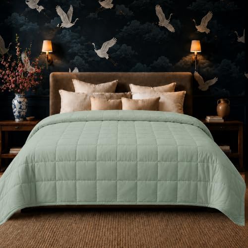 HomeSmart Queen Size Weighted Blanket 20 lbs - Ultra Soft All Season Fabric by HomeSmartProducts
