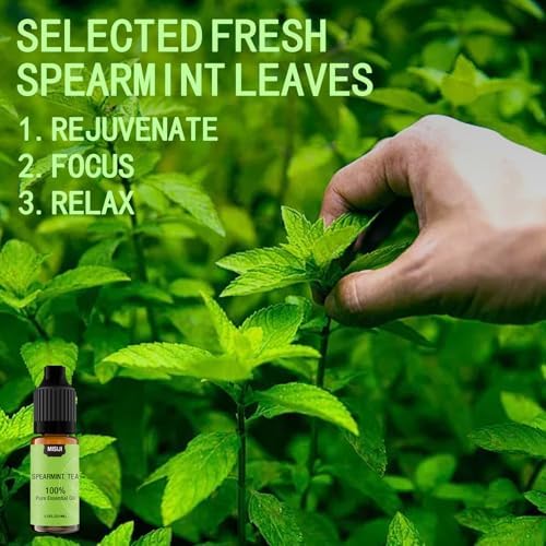 Essential Oil Blends, Essential Oils Set for Diffusers for Home, Well-Being Kit- Spearmint Tea, Calming, Dreams, Relaxing, Mood, Fresh Air Aromatherapy Oils for Humidifiers, Skin, 6x10ml - Image 2