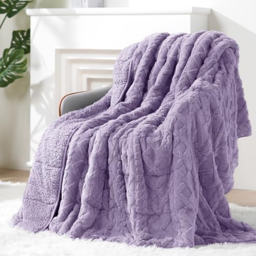 Ultra Soft Sherpa Weighted Blanket for Adults, 60"x80" 15lbs Heavy Blankets by EazfyPro
