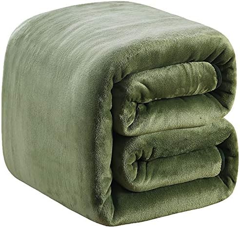 Richave 350GSM Fleece Blankets King Size for The Bed Warm Sofa Blanket 90" x 108"(Green King) by RICHAVE