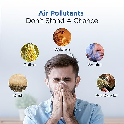 MOOKA Official Certified H13 True HEPA Air Filters Replacement Compatible with M02 Air Purifier, 3-stage Filtration, Captures Dust, Pollen, Smoke, Odors, and Pet Dander, 1 Pack - Image 5