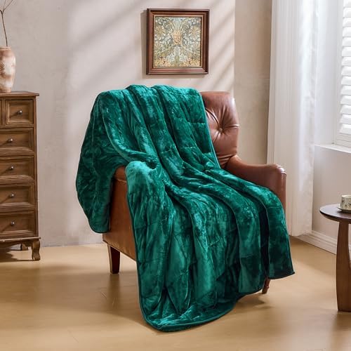Ultra Soft Sherpa Weighted Blanket for Adults, 48"x72" 15lbs Heavy Blankets - Image 7