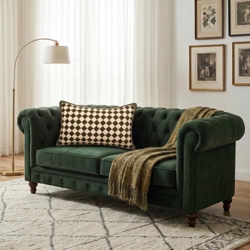 patdrea Designer Velvet Throw Pillow Cover,Set of 2,12"x20"-BrigittaC - Image 7