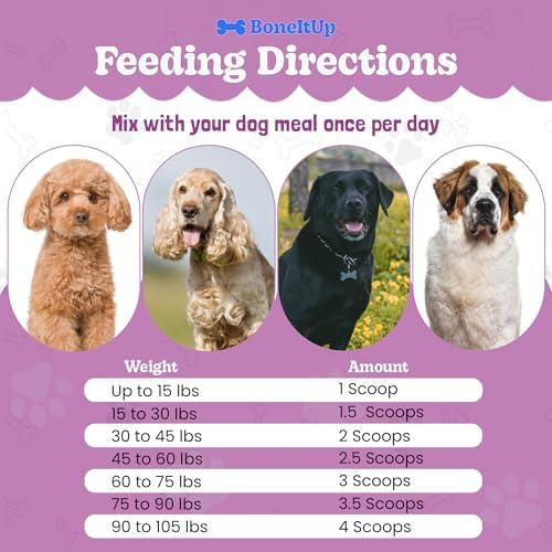 BoneItUp Dog Bone Broth Powder - Made with Real Beef & Chicken, Nutritious & Hydrating Dog Bone Broth Topper for Picky Eaters - Healthy Joints, Coat, Digestion Support (30 Servings) - Image 5
