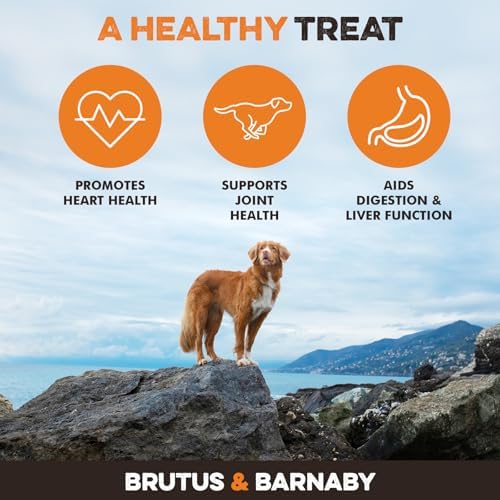 BRUTUS & BARNABY Turmeric for Dogs, Curcumin Joint Chews, 60 Count - Image 4