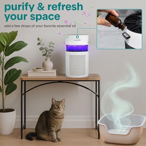 SereneLife Portable Air Purifier | Small Air Purifier For Home, Allergies, Pet Hair & Bedrooms | Filter Change Reminder & Aroma Box | Filtration Removes Dust, & Smoke Odor | Timer & Sleep Mode | White - Image 4
