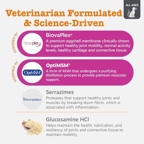 Zesty Paws Vet Strength Mobility Bites Beef & Bacon Flavor Hip & Joint Support Chews for Dogs with Glucosamine, Chondroitin, MSM, Hyaluronic Acid & Serrazimes - 90 Count (Pack of 2) - Image 3