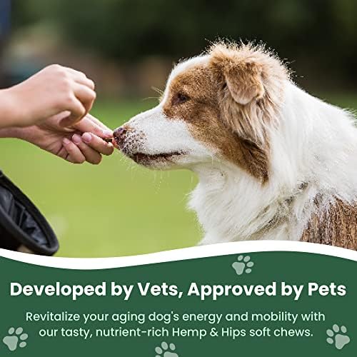 Veterinary Naturals Hemp & Hips Joint Supplement for Dogs/Supports Relief from Hip and Joint Pain in Large, Aging Dogs (Regular, Beef & Bacon) - Image 2