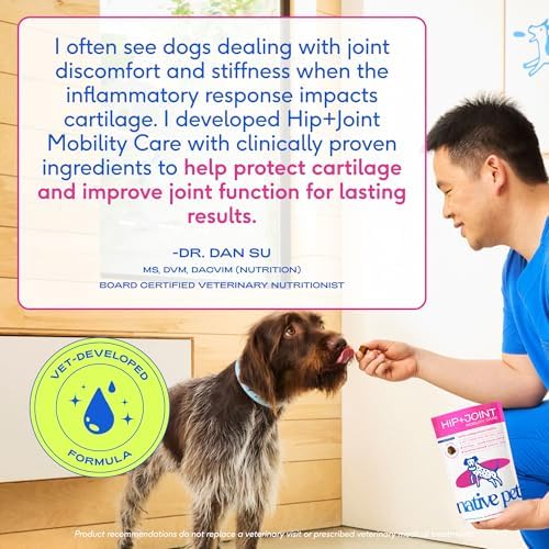Native Pet Mobility Care - Hip & Joint Supplement for Dogs - UC-II Collagen, Egg Shell Membrane & Hyaluronic Acid - Dog Joint Supplement Chews Supports Cartilage, Mobility & Flexibility - 120 Chews - Image 5
