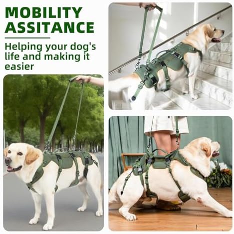 PUPTECK Dog Lift Harness for Medium Large Sized Dog, Rehabilitation Sling for Hind Leg Support, Multifunctional Mobility Assistance Harness for Old, Disabled, Joint Injuries, Paralysis Dog, Green XL - Image 3