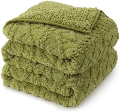 Drewin 20lbs Weighted Blanket Queen Size for Adults,Grass Green,60" x 80" by Home