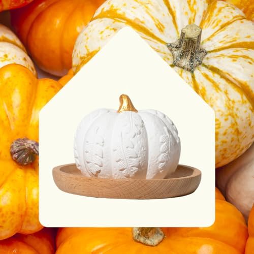 Plant Therapy Pumpkin Passive Fall Diffuser for Essential Oils - Image 5